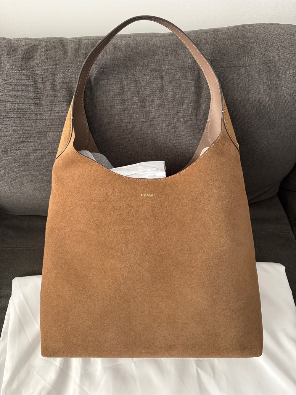 Coach Brooklyn Shoulder Bag 39 in Cedar